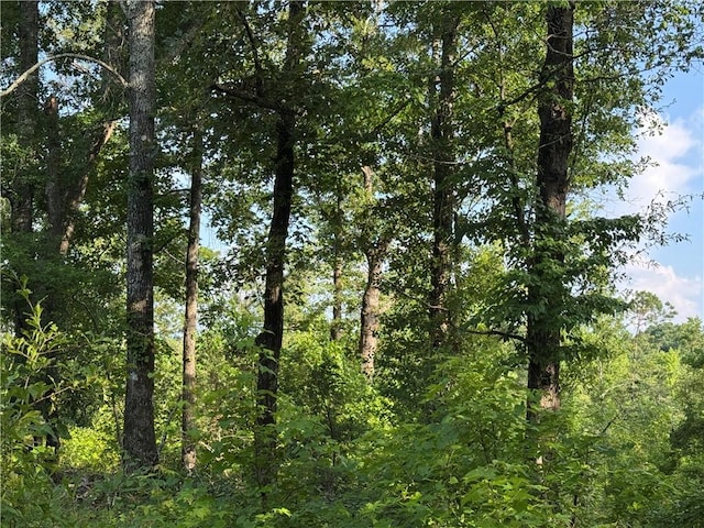 0 Trimble Rd, Camp Hill, AL 36850