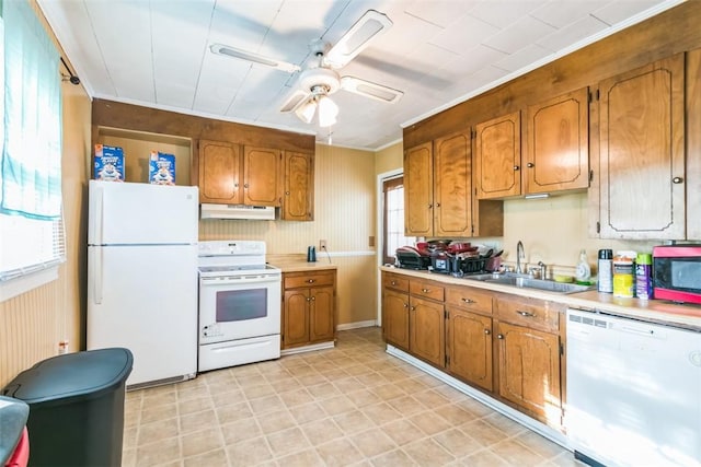 kitchen featuring ceiling fan, a healthy amount of sunlight, white appliances, and sink