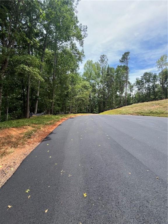 0 Cheyenne Ln, Dadeville, AL 36853 - photo 3