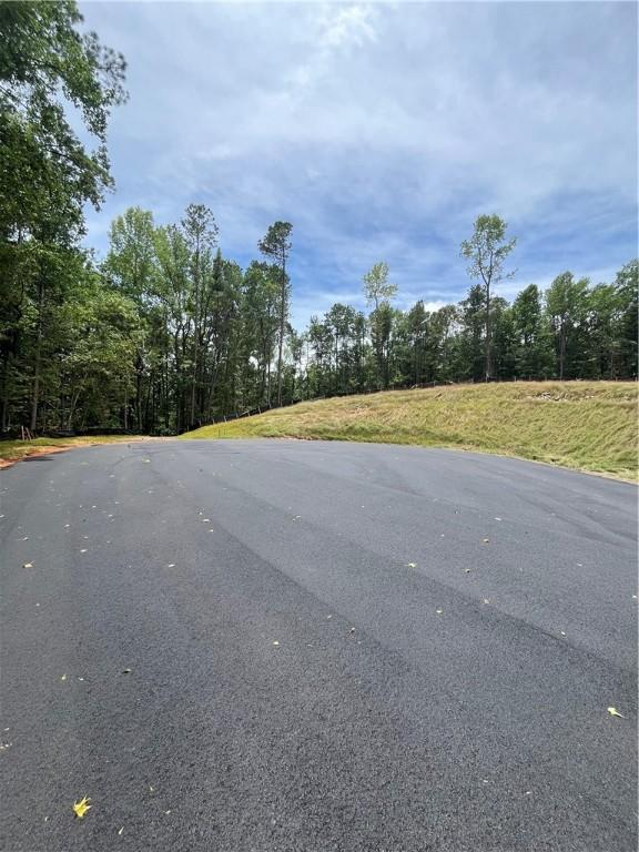 0 Cheyenne Ln, Dadeville, AL 36853 - photo 2