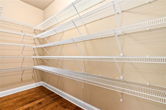 2316 Tuscany Pl, Auburn, AL 36830 - view of pantry