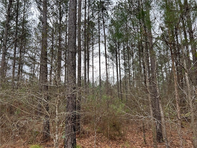 Listing photo 2 for 000 Pinkston Ln, Dadeville AL 36853