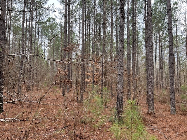 000 Pinkston Ln, Dadeville AL, 36853 land for sale