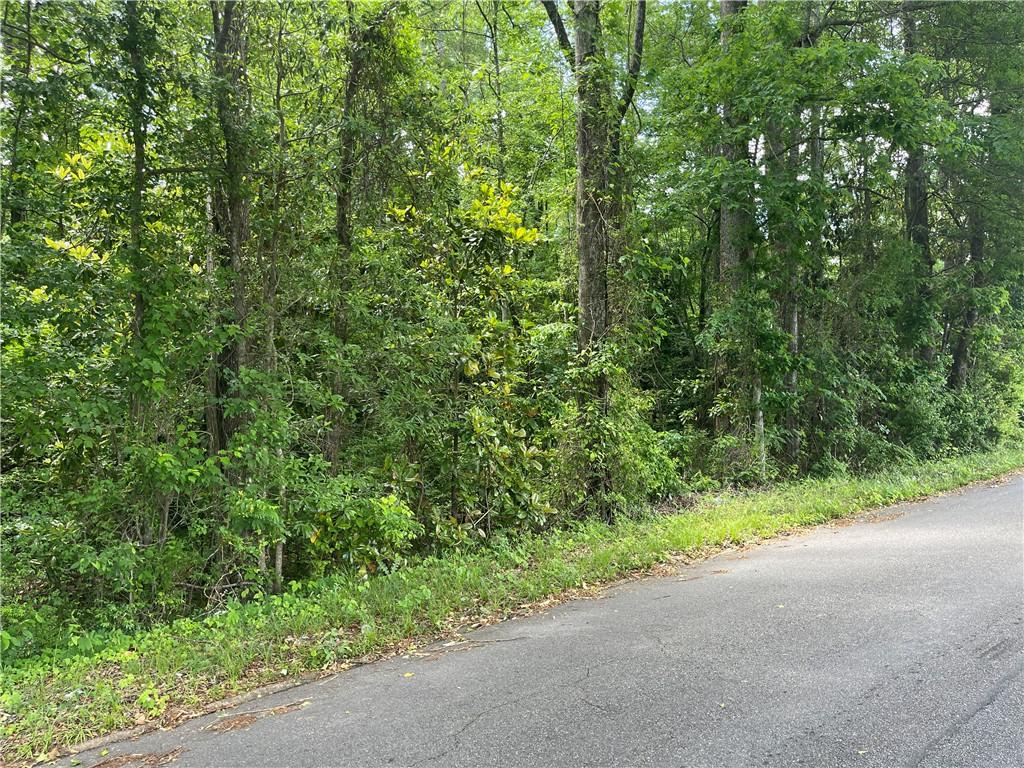 None Glenwood Road, Alexander City, AL 35010 - photo 2