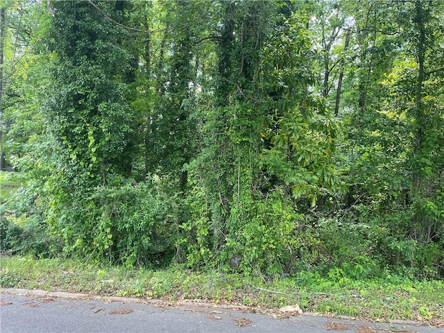 Listing photo 3 for None Glenwood Road, Alexander City AL 35010