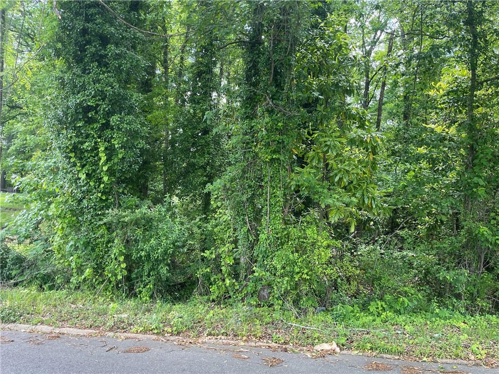 None Glenwood Road, Alexander City, AL 35010 - photo 3