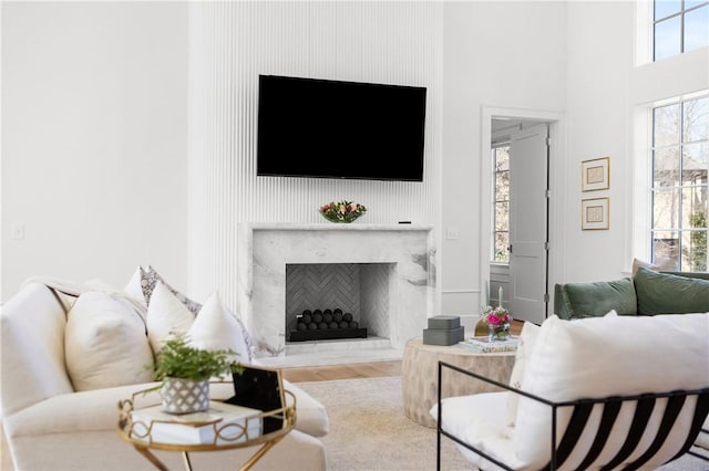 living area featuring wood finished floors and a high end fireplace