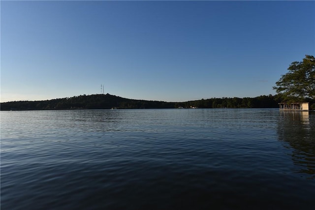 LOT736 Lee Road 899, Salem, AL 36874 - photo 5