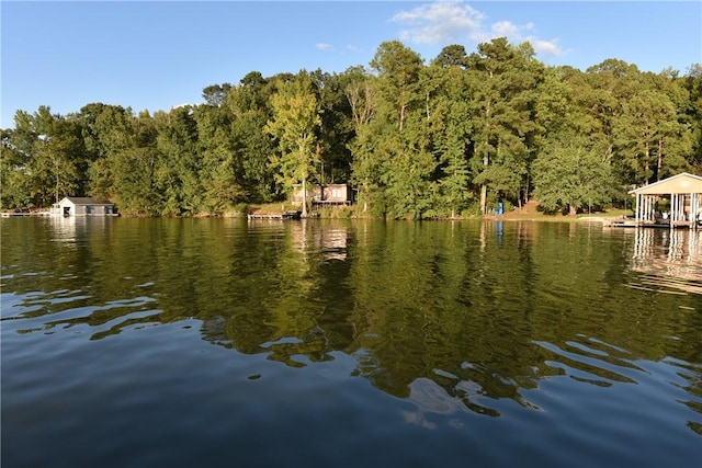 LOT736 Lee Road 899, Salem, AL 36874 - photo 1