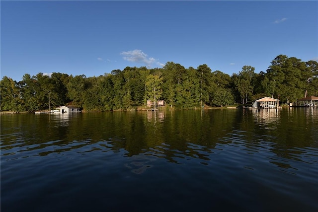 LOT736 Lee Road 899, Salem, AL 36874 - photo 2