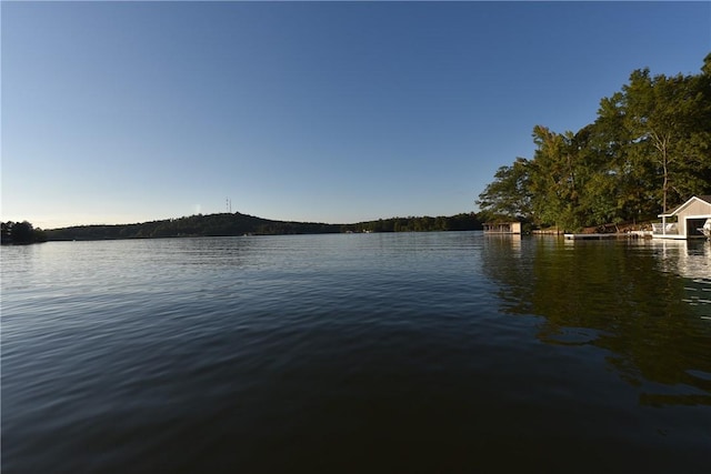LOT736 Lee Road 899, Salem, AL 36874 - photo 4