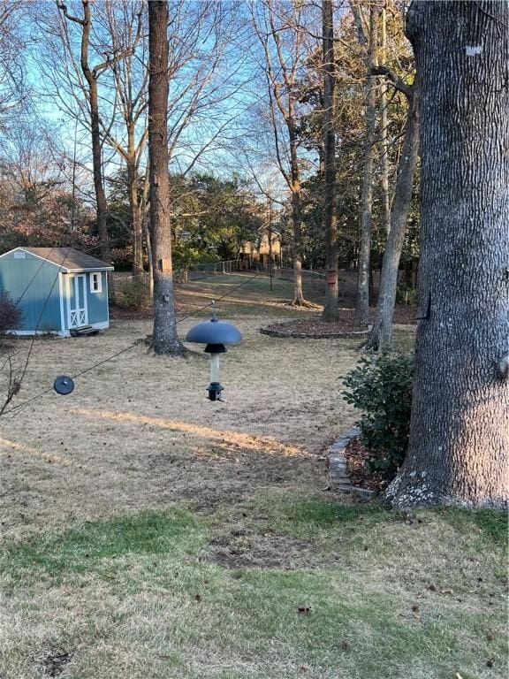 view of yard with a storage shed