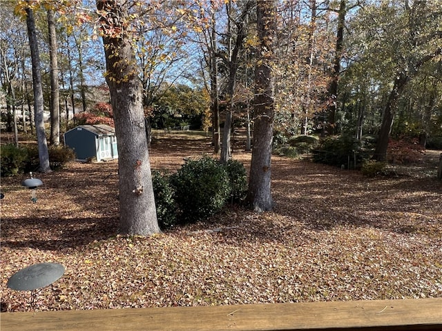 view of yard with a storage shed