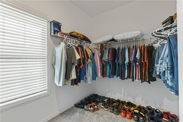 walk in closet featuring carpet floors