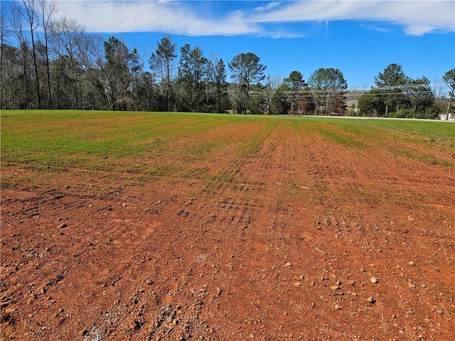 8160 County Road 87, Lanett AL, 36863 land for sale