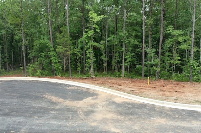 4245 Perfect Pass, Opelika AL, 36804 land for sale