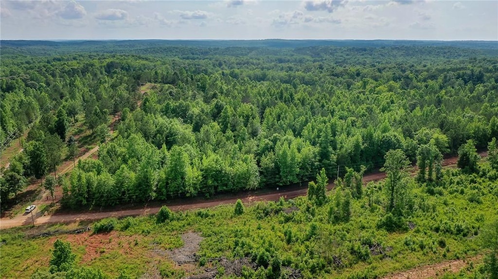 0 County Road 78, Waverly, AL 36879 - photo 1