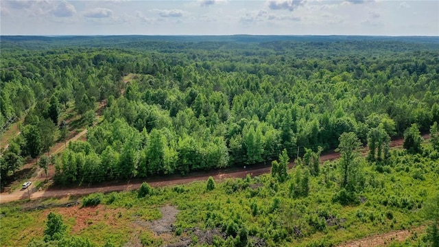 0 County Road 78, Waverly, AL 36879 - photo 1