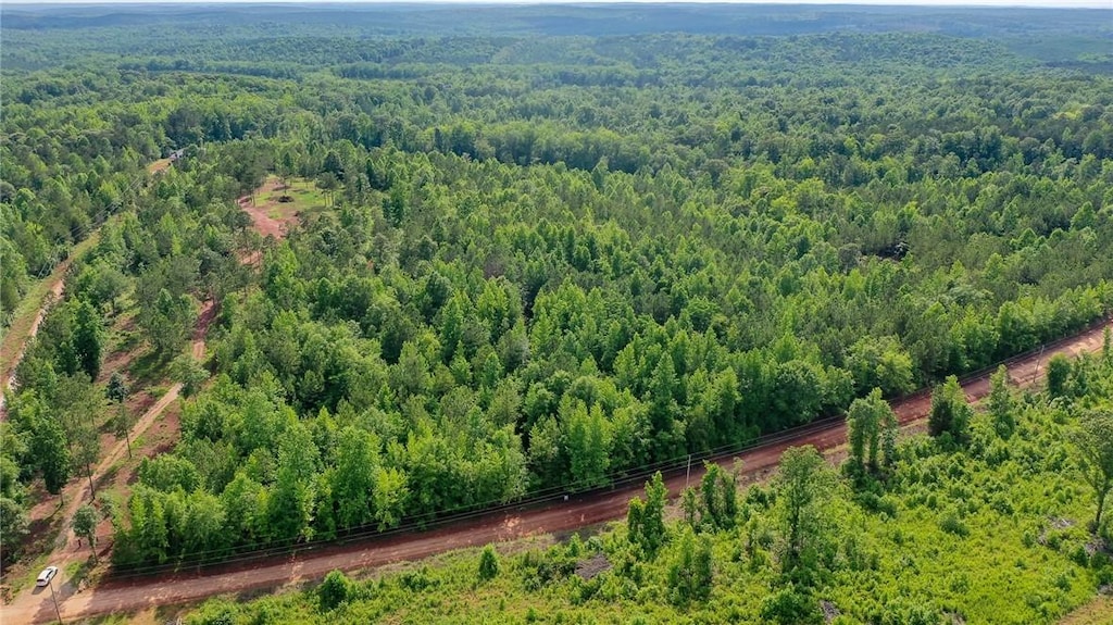 0 County Road 78, Waverly, AL 36879 - photo 2