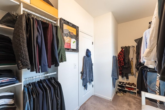 walk in closet with carpet flooring