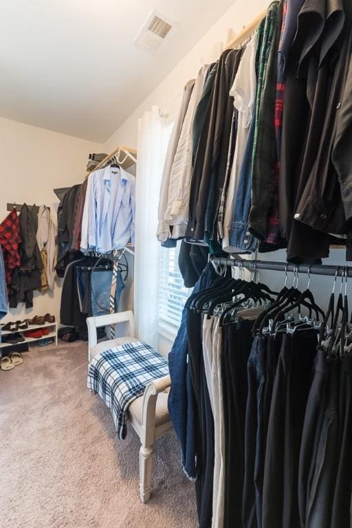 walk in closet with carpet and visible vents