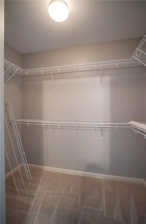 735 Hunter Ct, Auburn, AL 36832 - spacious closet featuring carpet flooring