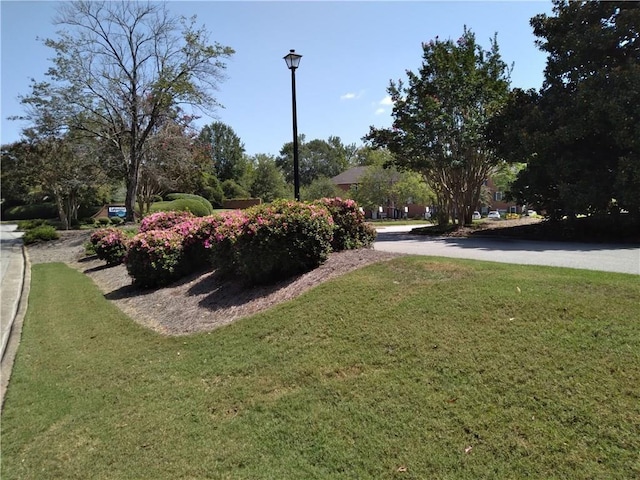 view of home's community featuring a lawn