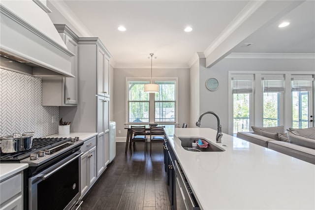 kitchen with sink, stainless steel appliances, dark hardwood / wood-style flooring, backsplash, and custom exhaust hood