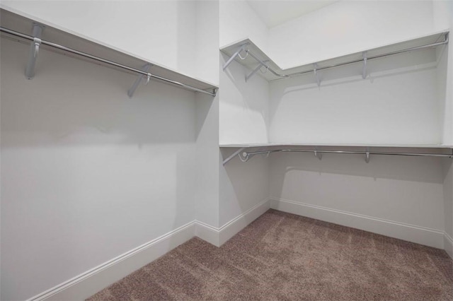 walk in closet with carpet