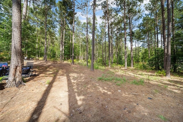 4221 Bonfire Blf, Opelika, AL 36804 - photo 39