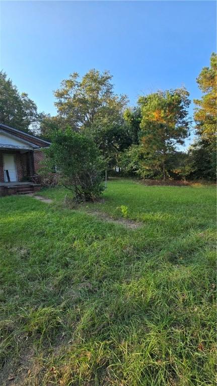 1270 Lee Road 57, Auburn, AL 36832 - view of green lawn