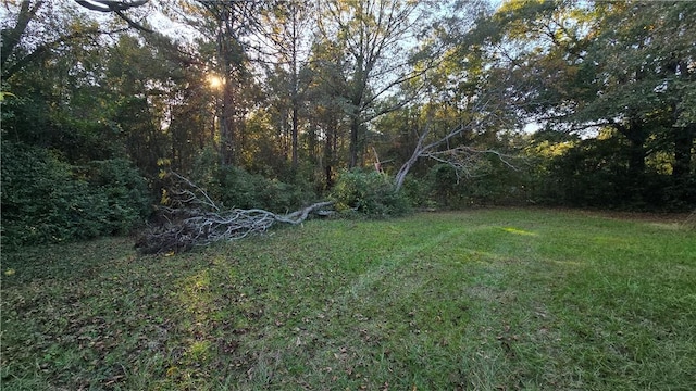 1270 Lee Road 57, Auburn, AL 36832 - view of grassy yard with a view of trees