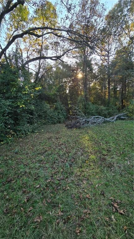 1270 Lee Road 57, Auburn, AL 36832 - view of yard