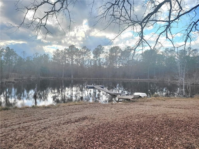 601 Herbert Brown Rd, Auburn, AL 36830 - photo 29