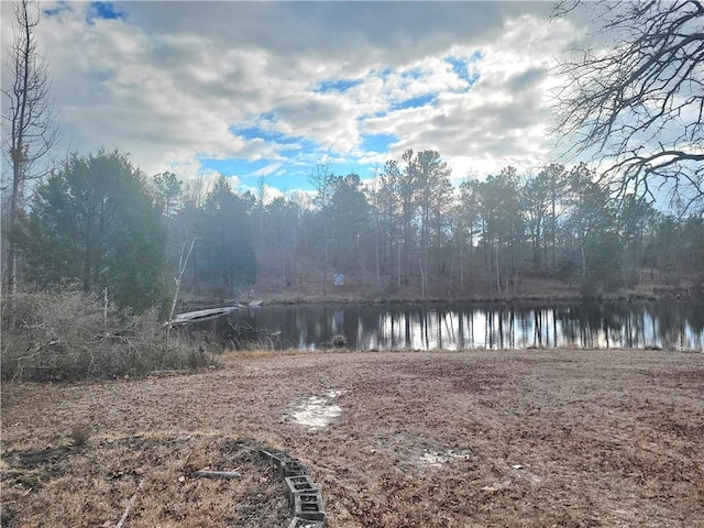 601 Herbert Brown Rd, Auburn, AL 36830 - photo 31