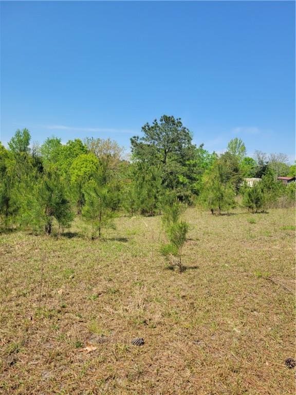 601 Herbert Brown Rd, Auburn, AL 36830 - photo 43