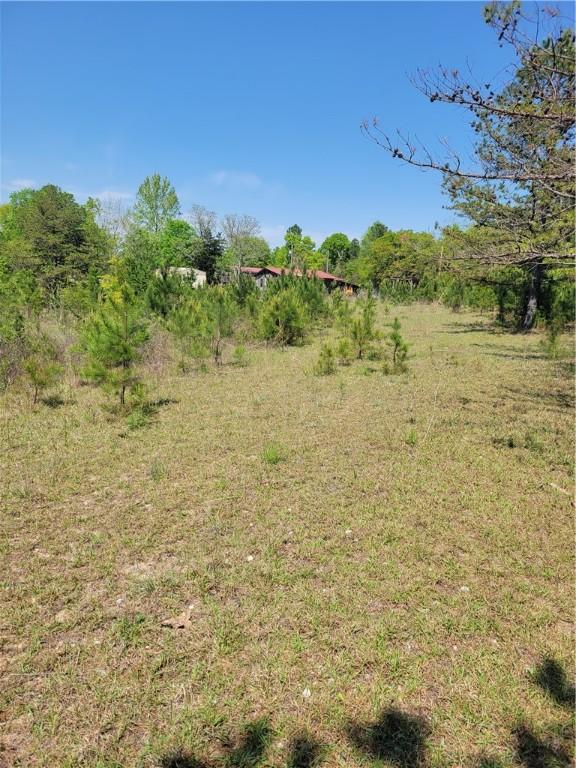601 Herbert Brown Rd, Auburn, AL 36830 - photo 40