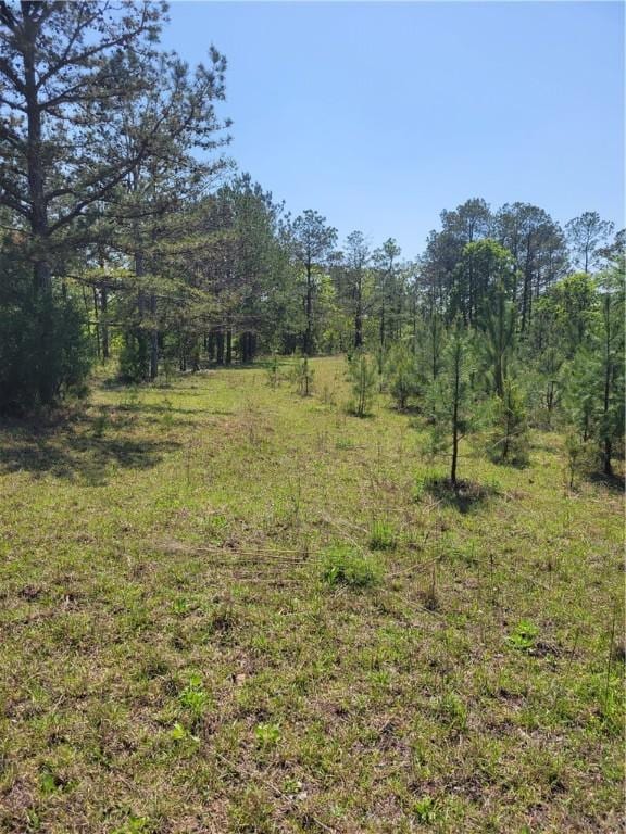 601 Herbert Brown Rd, Auburn, AL 36830 - photo 34
