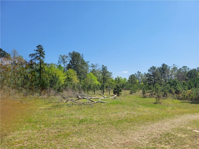 601 Herbert Brown Rd, Auburn, AL 36830 - photo 33