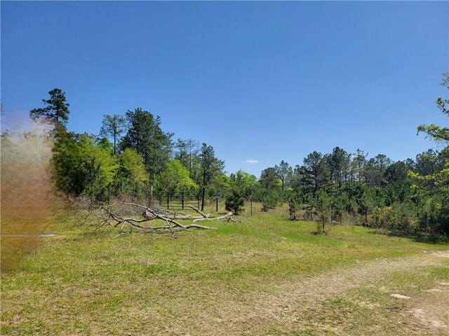 601 Herbert Brown Rd, Auburn, AL 36830 - photo 32