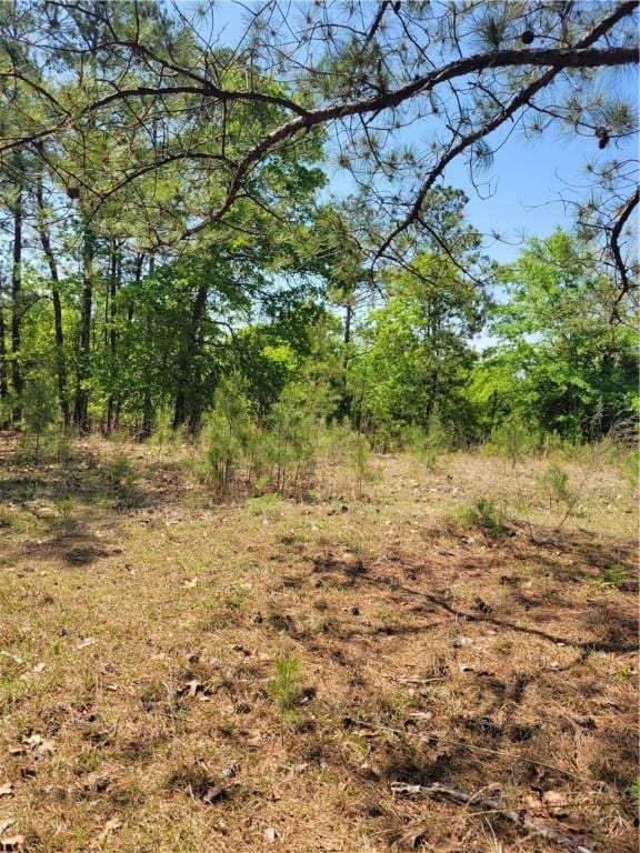 601 Herbert Brown Rd, Auburn, AL 36830 - photo 45