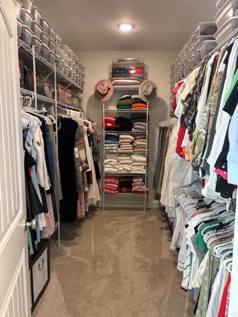 walk in closet featuring carpet floors