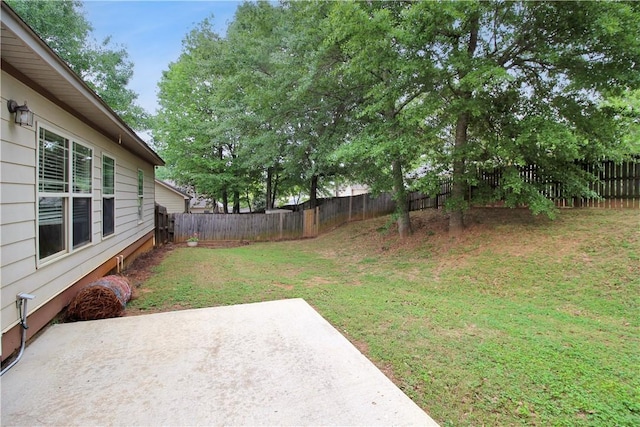 view of yard featuring a fenced backyard and a patio area