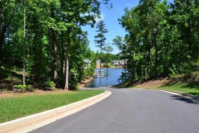 view of street with a water view and curbs