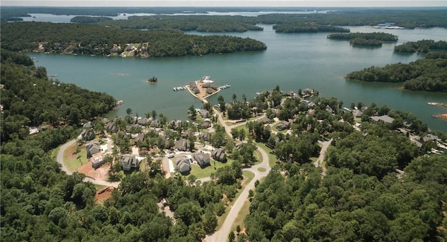 bird's eye view featuring a water view and a forest view