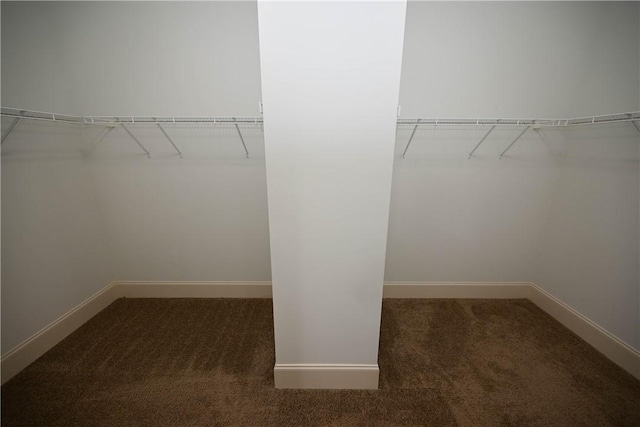 2228 Morgan Dr, Auburn, AL 36830 - spacious closet featuring carpet