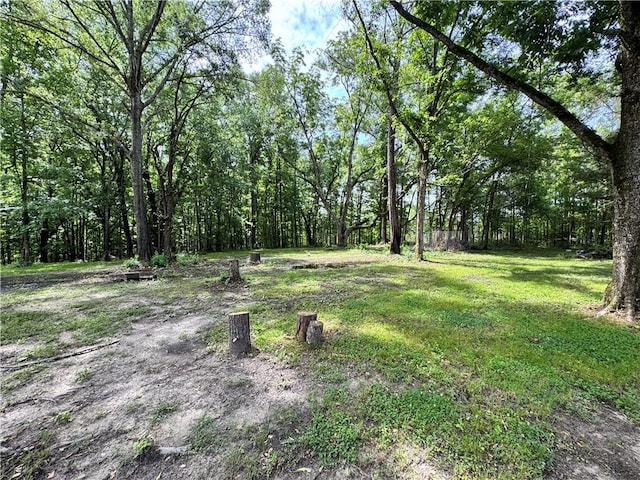 11485 US Highway 29, Tuskegee, AL 36803 - view of yard featuring a view of trees