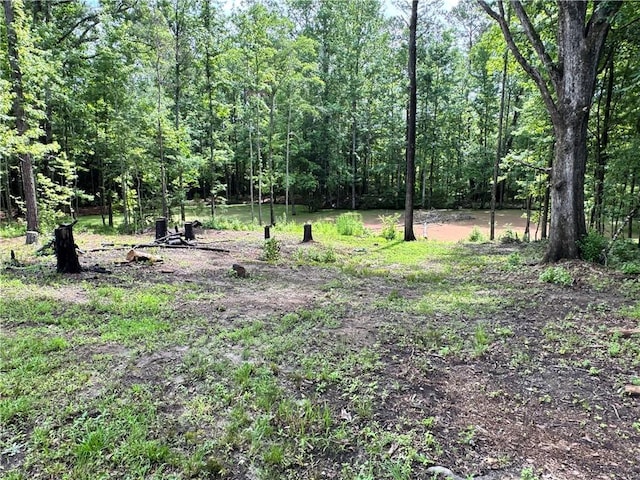 11485 US Highway 29, Tuskegee, AL 36803 - view of wooded area