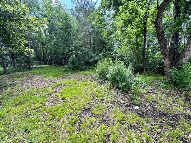 11485 US Highway 29, Tuskegee, AL 36803 - view of wooded area