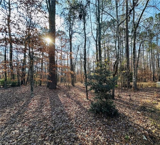 TBD Grove Hill Rd, Auburn, AL 36830 - photo 7